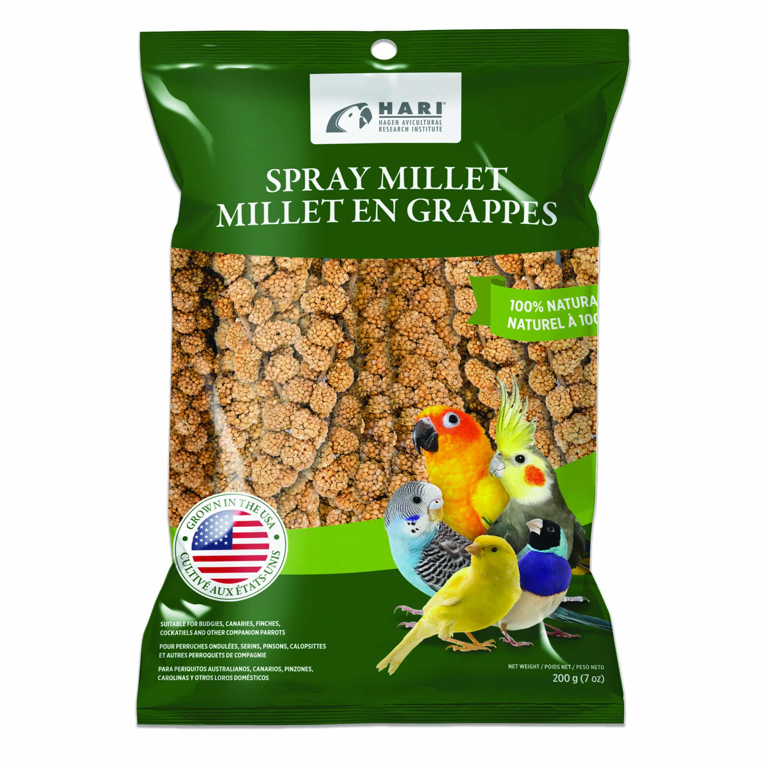 Millet en grappe - Millet pour oiseaux - Nourriture oiseaux sauvages